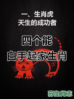 白手起家是什么生肖？白手起家打最佳一生肖
