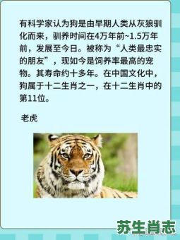 夜是什么生肖?神字打一正确生肖 夜是什么生肖?神字打一正确生肖