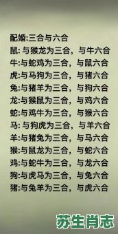 六畜是什么生肖？六畜正确答案一肖