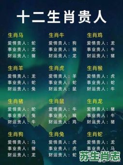 人是什么生肖？人打一准确生肖