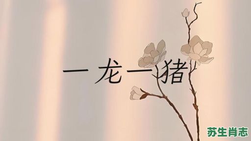 壹龙壹猪是什么生肖？一龙一猪指什么生肖