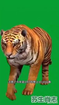 惊慌失措是什么生肖?惊慌失措打一准确动物 惊慌失措是什么生肖?惊慌失措打一准确动物