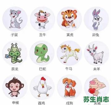 有朝气的动物是什么生肖？有朝气打最准确一个生肖