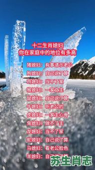 夫人是什么生肖？夫人准确打一肖