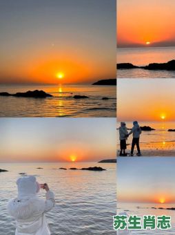 看日出是什么生肖？欲钱看日出最佳一肖