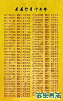 舍命陪君子是什么生肖？舍命陪君子最准确生肖