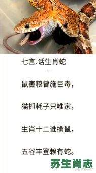 挑三拣四是什么生肖？挑三拣四打一准确动物