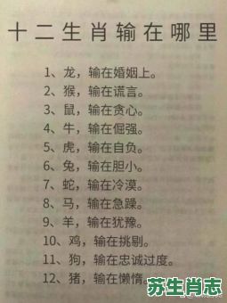 孤魂野鬼是什么生肖？孤魂野鬼打一最佳动物