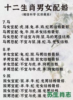 使君相思两不见是什么生肖？使君相思两不见正确答案