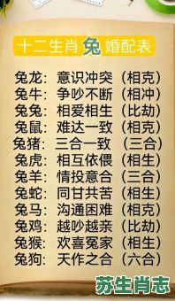 兔对冲生肖是什么？兔冲什么生肖最正确