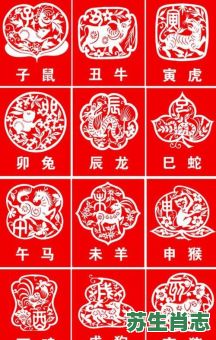 最老的生肖是什么生肖？最老的动物打正确一肖