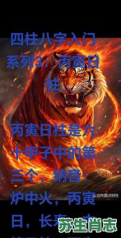 丙子日是什么生肖？丙子日最准确生肖