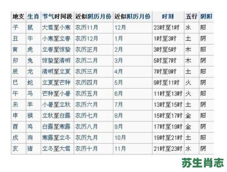 算命先生是什么生肖？算命先生生肖正确答案