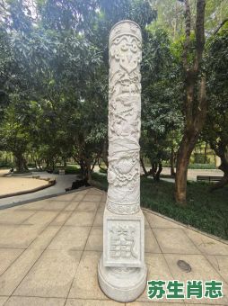 功成归放南山日是什么生肖？功成归放南山日最佳答案