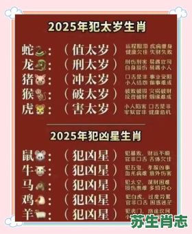 2025年是什么生肖？2025年的人属啥