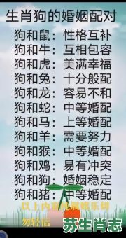 双龙抢宝是什么生肖？双龙抢宝打准确一肖