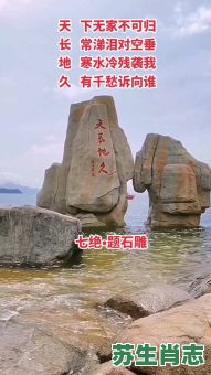 海枯石烂是什么生肖？海枯石烂打一准确生肖