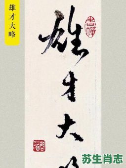雄才大略是什么生肖？雄才大略最佳生肖