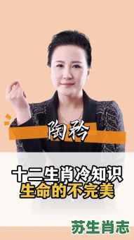 有规有矩是什么生肖？规规矩矩打正确生肖