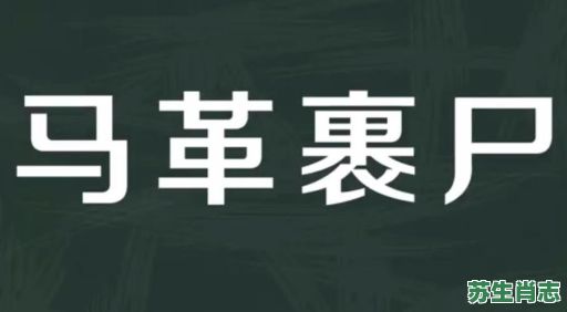 马革裹尸是什么生肖？马革裹尸打一准确动物