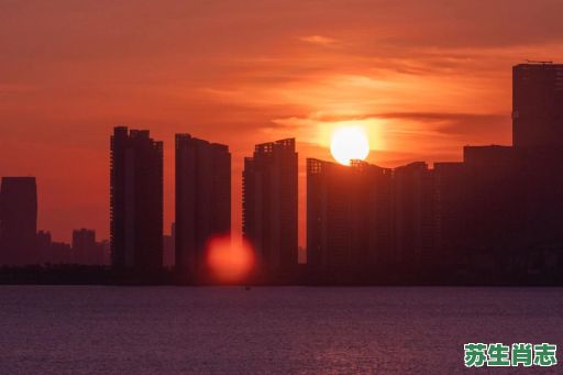 日出是什么生肖？日出打一最佳生肖