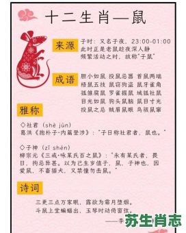 神经兮兮的动物是什么生肖？神魂颠倒是什么生肖