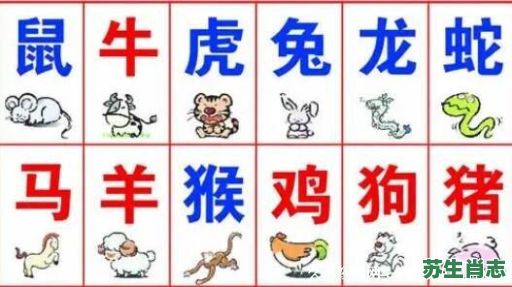 今晚一只生肖是什么生？晚上的生肖是什么生肖