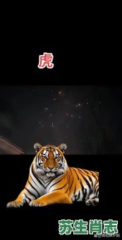 重振雄风是什么生肖？重振雄风打一正确动物