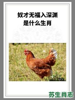 奴才模样是什么生肖?奴才模样正确答案一肖 奴才模样是什么生肖?奴才模样正确答案一肖