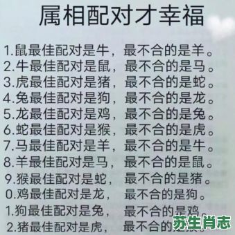 04年是什么生肖？2025年属猴最佳婚配