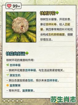 铁树开花是什么生肖?铁树开花打一准确动物 铁树开花是什么生肖?铁树开花打一准确动物