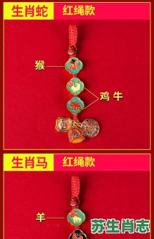 衣扣是什么生肖？扣打一最正确的生肖