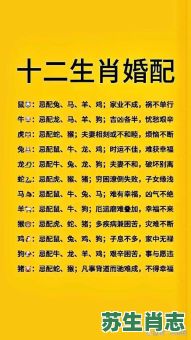 一生清闲免劳作是什么生肖?一生清闲免劳作正确答案 一生清闲免劳作是什么生肖?一生清闲免劳作正确答案