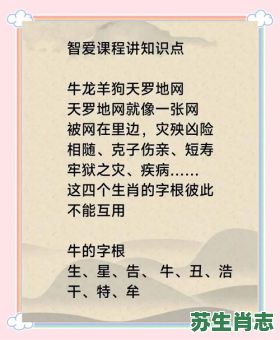 根是什么生肖？根打一个准确生肖