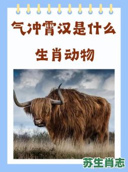 北是什么生肖？北打一个准确动物