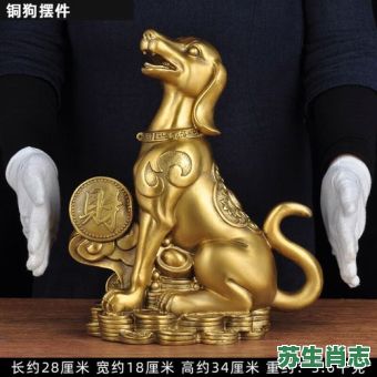 千晨之行是什么生肖？千晨之行的正确生肖