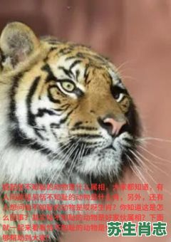 保卫国家是什么生肖？国家保护打一准确生肖