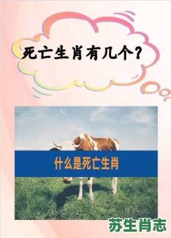 大肖是什么生肖？大肖正确6个生肖