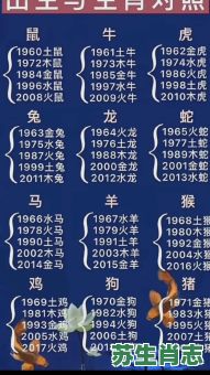 现是什么生肖？现打一准确生肖