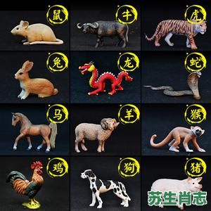 装死是什么生肖？十二生肖不回头的动物