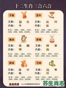 宝是什么生肖？宝打一准确生肖