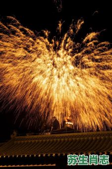 铁树银花送英雄是什么生肖？铁树银花打一正确动物