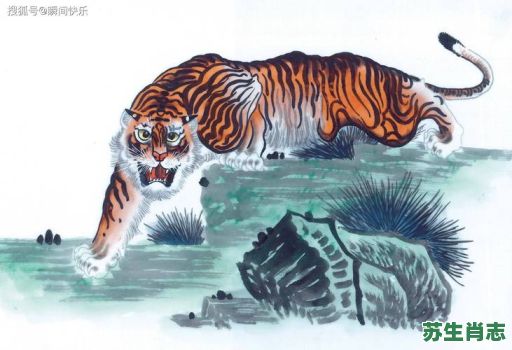 虎虎生威是什么生肖？虎虎生威打一正确动物