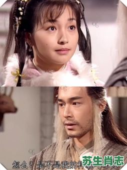 杨过是什么生肖？杨过打一准确动物