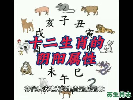 阴阳八卦是什么生肖？阴阳八卦打一最佳生肖