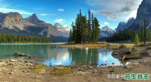 寒窗苦读三千日是什么生肖?寒窗苦读三千日打一正确答案 寒窗苦读三千日是什么生肖?寒窗苦读三千日打一正确答案