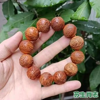 罗汉立正堂是什么生肖？罗汉立正堂打准确一肖