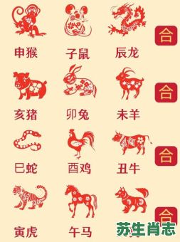 一八年是什么生肖？2025年出生的属相