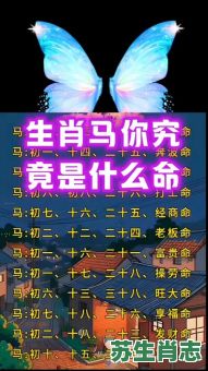 马前面是什么生肖？马和谁是天生一对
