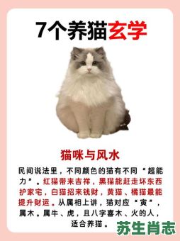 天机不愿告诉猫是什么生肖？天机不愿告诉猫正确答案